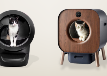 Litières automatiques pour chat : une révolution pour les propriétaires ?