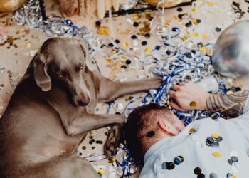 Dormez-vous avec votre animal de compagnie ?