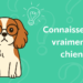Quizz – Connaissez-vous vraiment les chiens ?