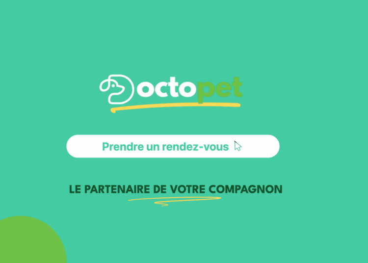 Doctopet : la plateforme qui connecte les propriétaires d’animaux aux pros du secteur