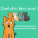Quizz – Quel chat êtes vous ?