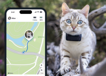 Colliers GPS pour chiens et chats