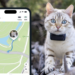 Colliers GPS pour chiens et chats