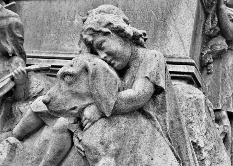 La perte de votre chien : un chagrin difficile à surmonter