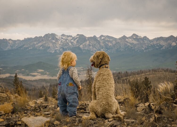 Chien et enfant : un duo complice et éducatif