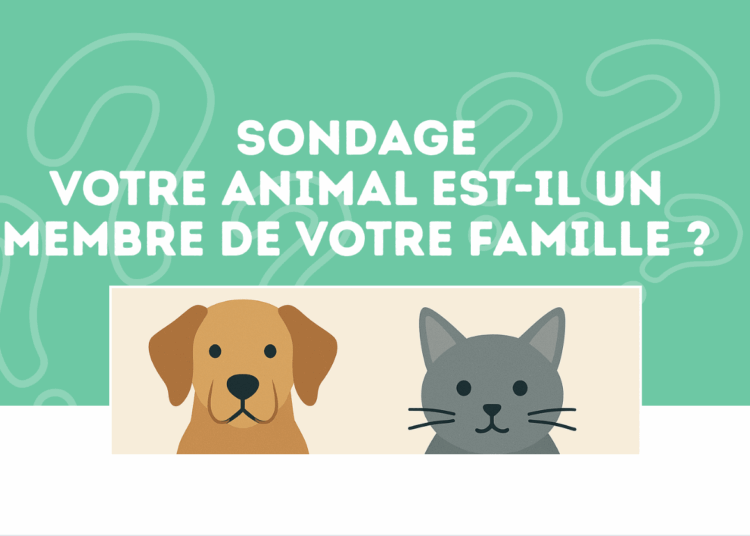Sondage – Quel est la place de votre animal de compagnie dans votre famille