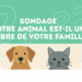 Sondage – Quel est la place de votre animal de compagnie dans votre famille