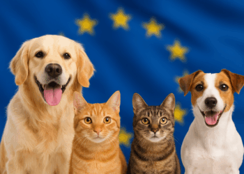 Une première réglementation européenne pour le bien-être des chiens et des chats
