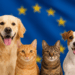 Une première réglementation européenne pour le bien-être des chiens et des chats