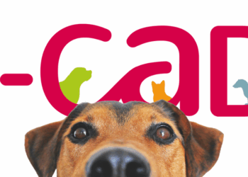 Qu’est-ce que l’I-CAD ?