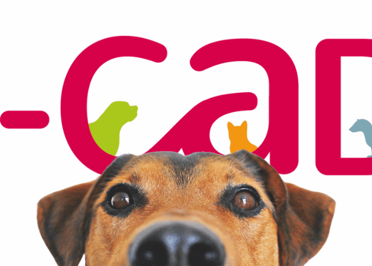 Qu’est-ce que l’I-CAD ?