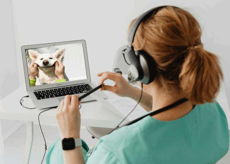 Téléconsultation vétérinaire : vers une nouvelle ère des soins animaliers à distance ?