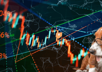 Santé animale et finance : pourquoi les marchés misent gros sur nos compagnons
