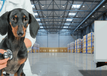 Qui sont les acteurs clés de la santé animale en France ?