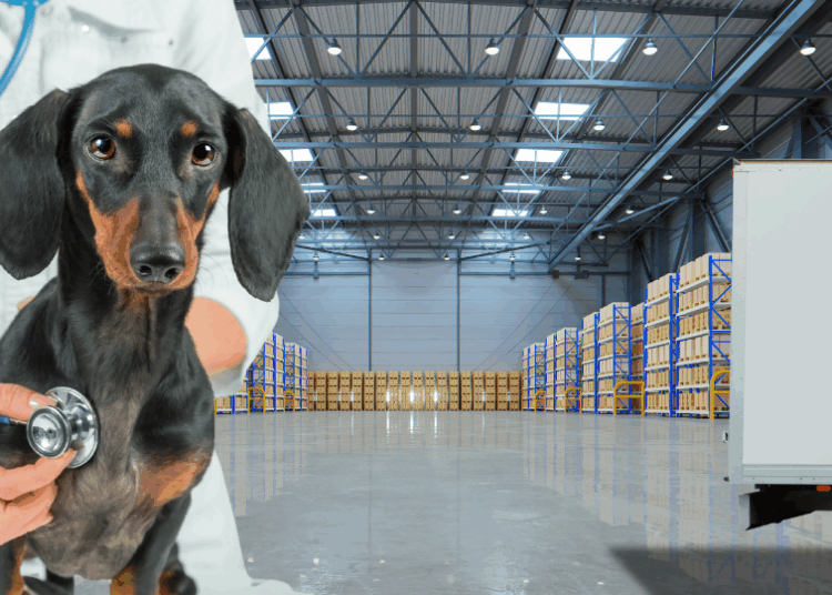 Qui sont les acteurs clés de la santé animale en France ?