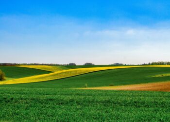 Purina : un moteur économique et durable pour l’agroalimentaire français