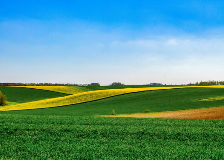 Purina : un moteur économique et durable pour l’agroalimentaire français