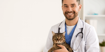 Combien de fois faut-il aller chez le vétérinaire par an ? Ce que tout propriétaire doit savoir