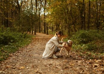 L’automne : une saison pleine de dangers pour les chiens