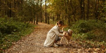 L’automne : une saison pleine de dangers pour les chiens