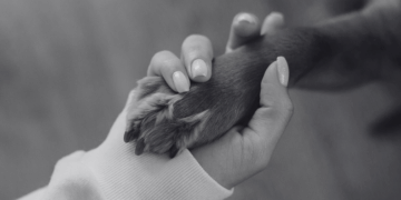Faire le deuil de son animal : un lien qui ne s’éteint jamais