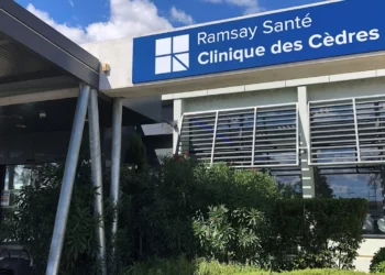 Toulouse : une clinique pionnière accueille les animaux des patients hospitalisés