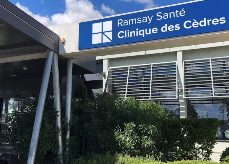 Toulouse : une clinique pionnière accueille les animaux des patients hospitalisés