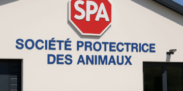 Les refuges en France : fonctionnement, chiffres et défis du quotidien