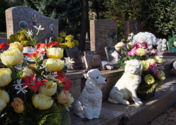 L’incinération des animaux de compagnie : un marché en pleine mutation