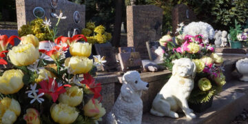 L’incinération des animaux de compagnie : un marché en pleine mutation