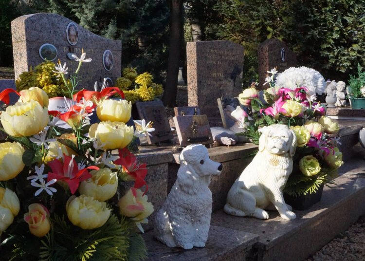 L’incinération des animaux de compagnie : un marché en pleine mutation