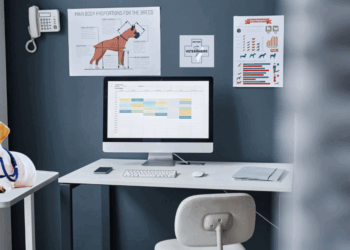 Logiciels métiers vétérinaires : choisir les bons outils pour piloter sa clinique