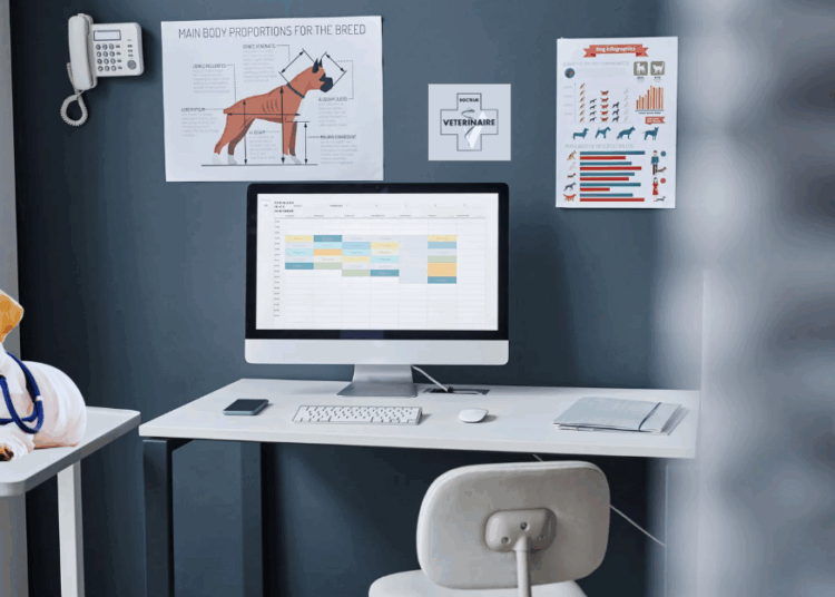 Logiciels métiers vétérinaires : choisir les bons outils pour piloter sa clinique