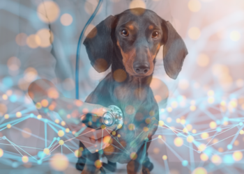 diagnostics vétérinaires basés sur l’IA entre 2024 et 2029.