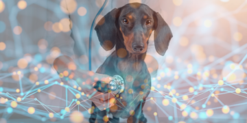 diagnostics vétérinaires basés sur l’IA entre 2024 et 2029.