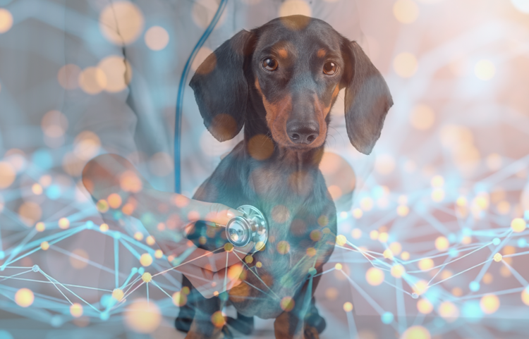 diagnostics vétérinaires basés sur l’IA entre 2024 et 2029.