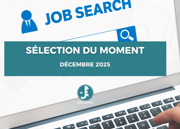 offres d’emploi – sélection du moment