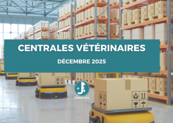 jobanimal - offre centrale distribution
