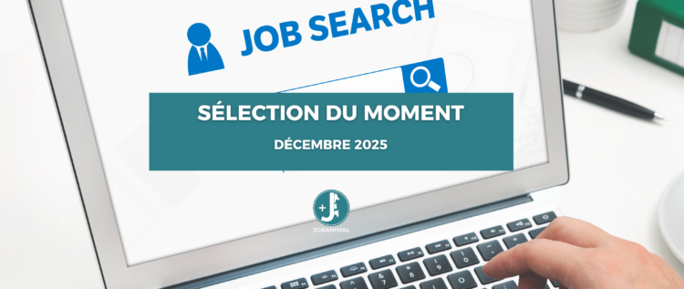 sélection offres emploi santé animale du mois de décembre 2025
