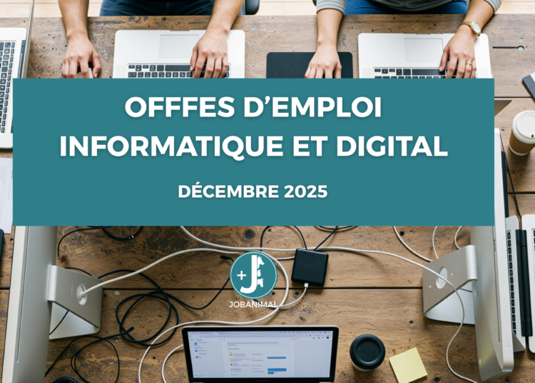 Offres d’emploi informatique et digital