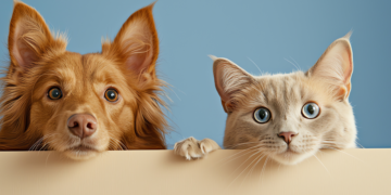 Chien et chat sous le même toit : mission impossible ?