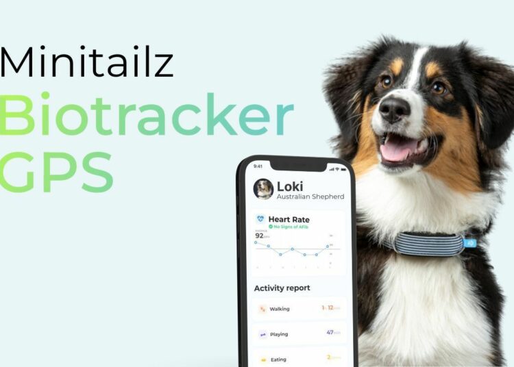 Invoxia lance Biotracker : quand la santé animale entre dans l’ère du suivi continu
