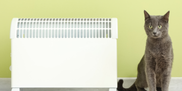 Chats et radiateurs : pourquoi sont-ils attirés par la chaleur en hiver ?