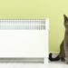 Chats et radiateurs : pourquoi sont-ils attirés par la chaleur en hiver ?