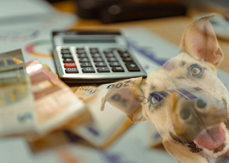 Combien coûte vraiment un chien par an en 2026 ?