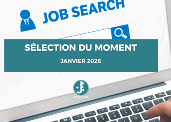 offres d’emploi – sélection du moment