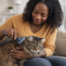 Poils de chat dans la maison : comment limiter leur présence au quotidien ?