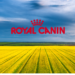 Royal Canin accélère sa transition bas carbone avec l’agriculture régénératrice