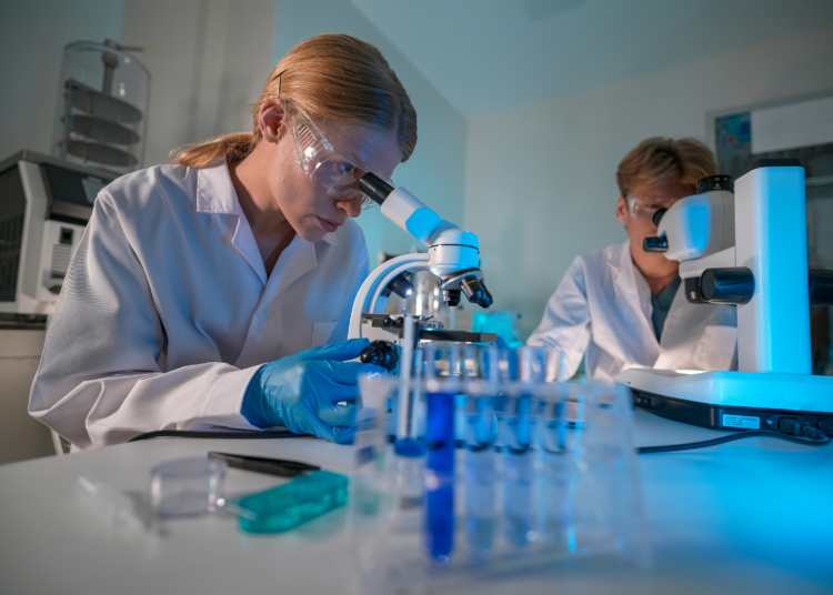 Cancer du sein : les chats pourraient aider la recherche médicale