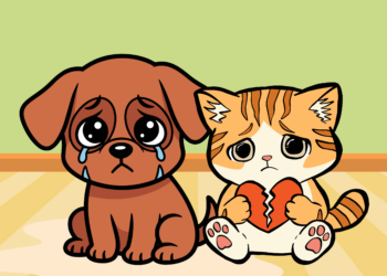 Les animaux ressentent-ils vraiment nos émotions ?